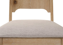 Arden Side Chair (Pack of 2)